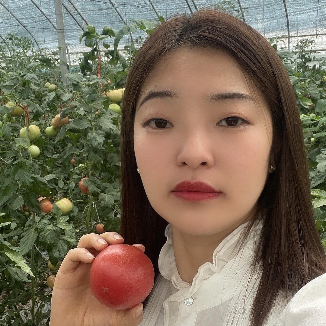 番茄西施