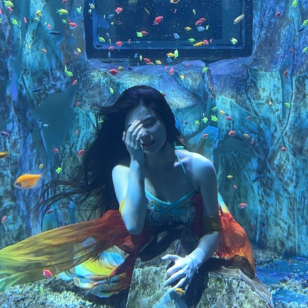 美人鱼-可可🧜🏻‍♀️