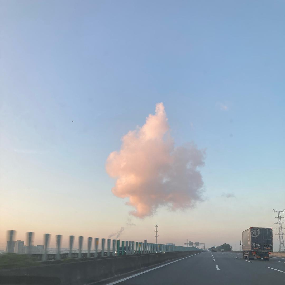 棉棉