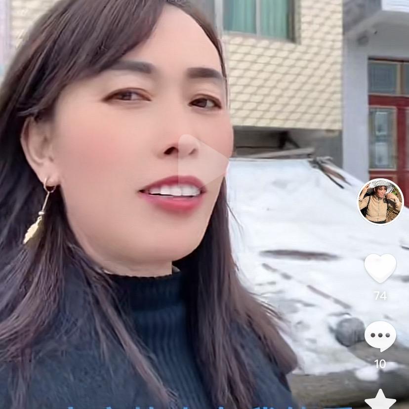南琴