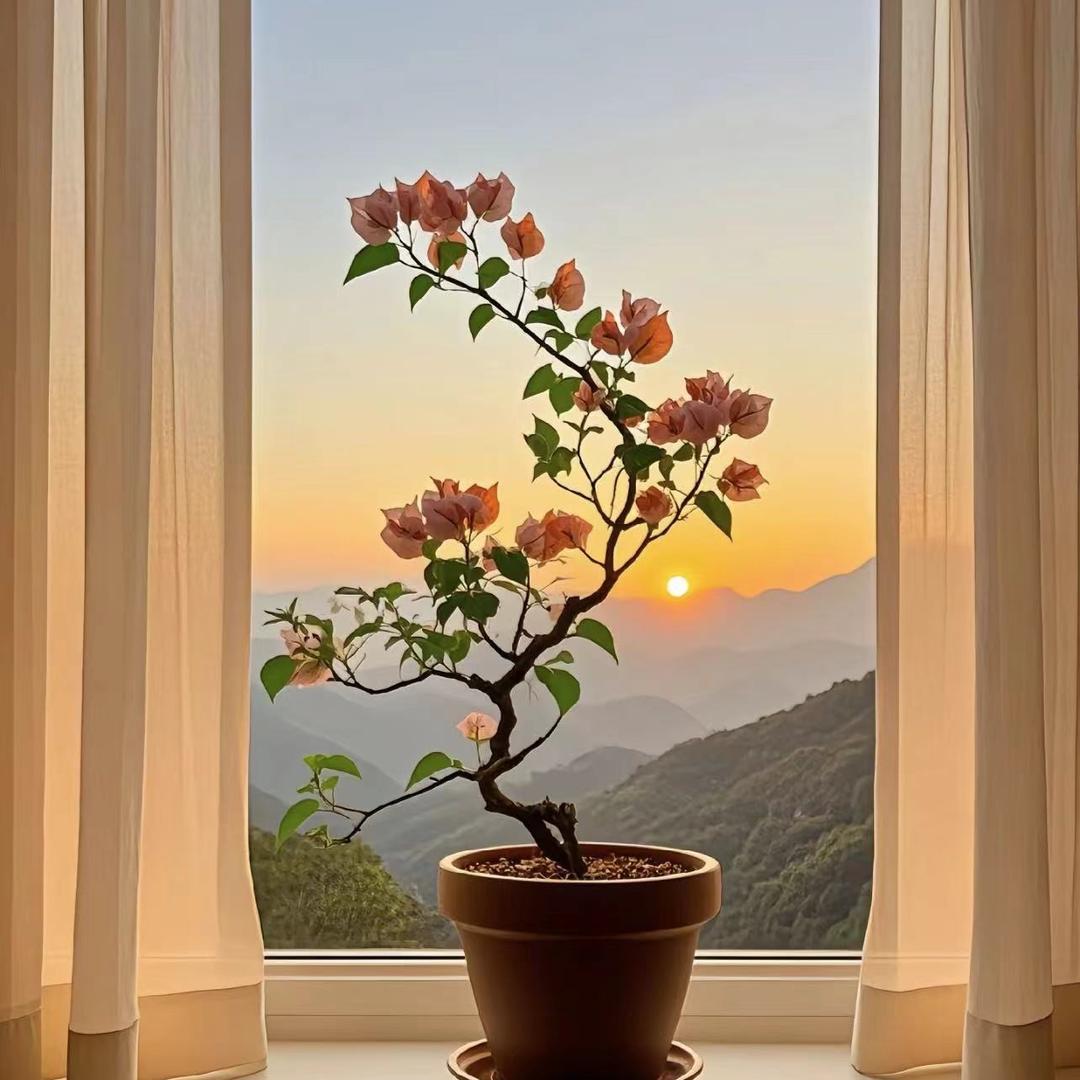 陶花朵朵设计园艺
