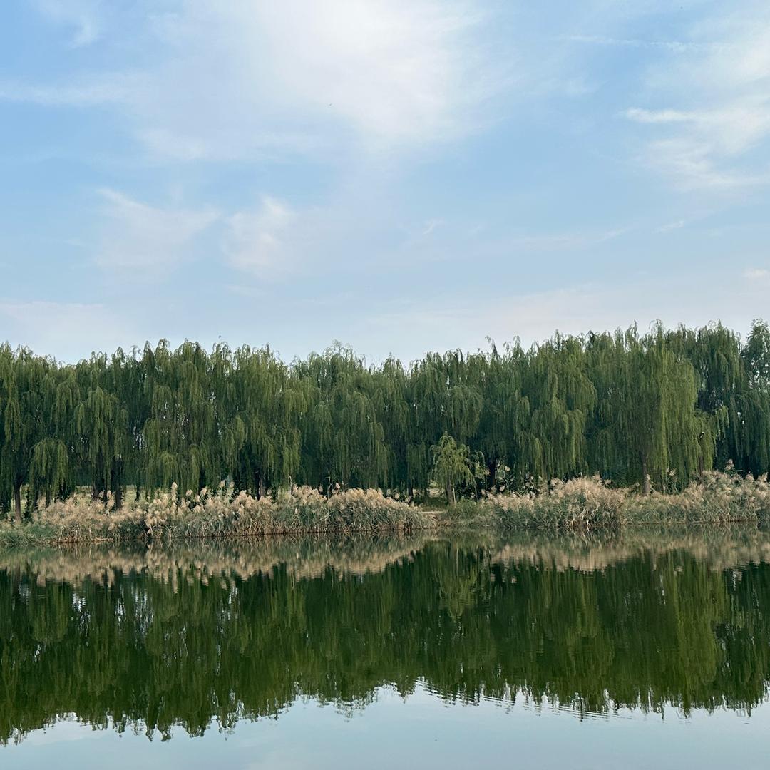 悦湖庄园崇文府小七