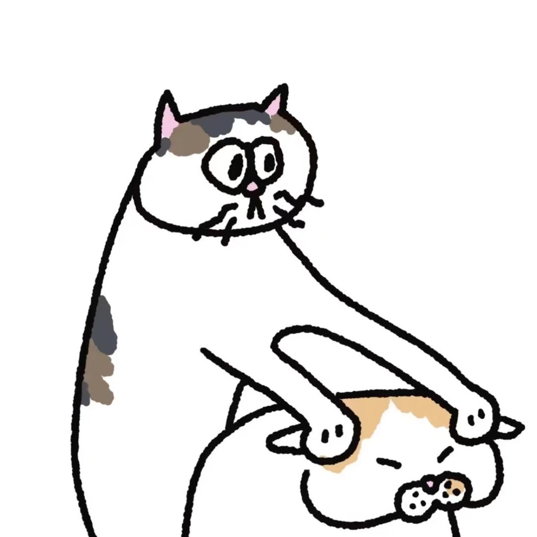 肉蛋葱鸡