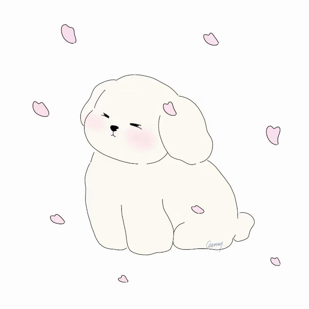 是小樂呀🫧