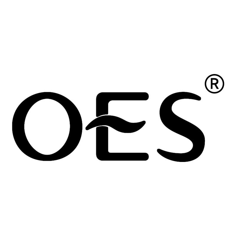 OES旗舰店马桶杀菌器