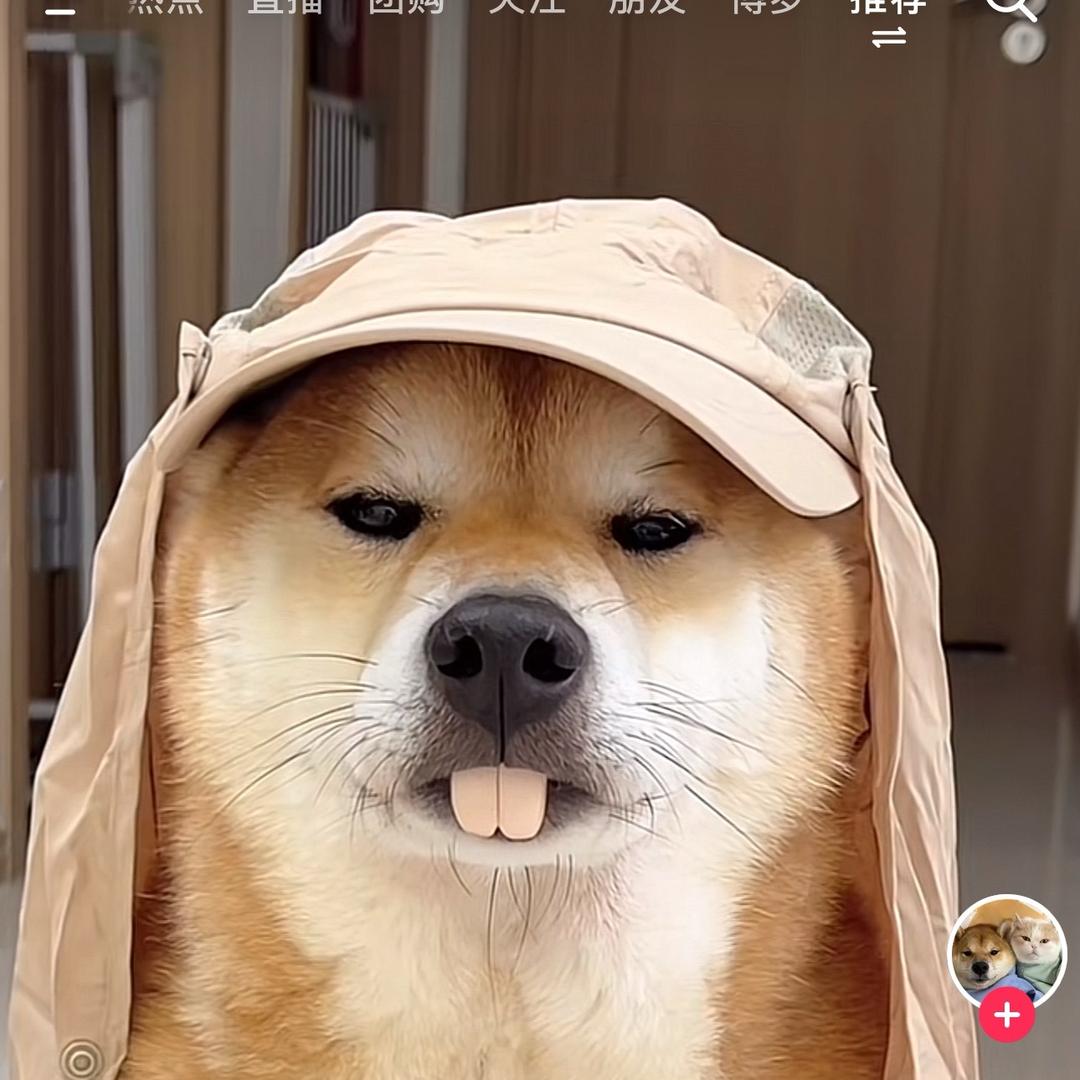 榴莲乌龙茶头像