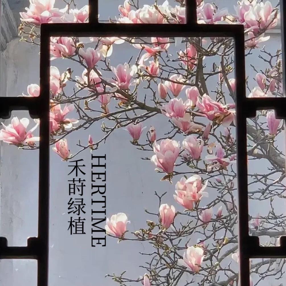 花田里园艺花田