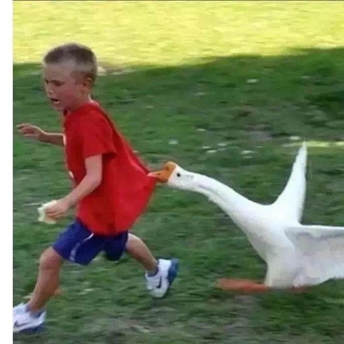 哈哈哈哈哈哈哈哈哈哈