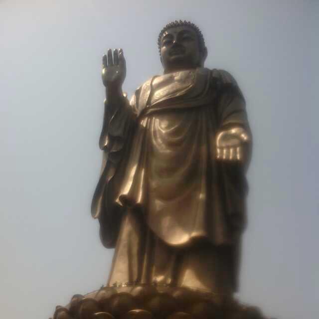 🌝刘大鹏🌝