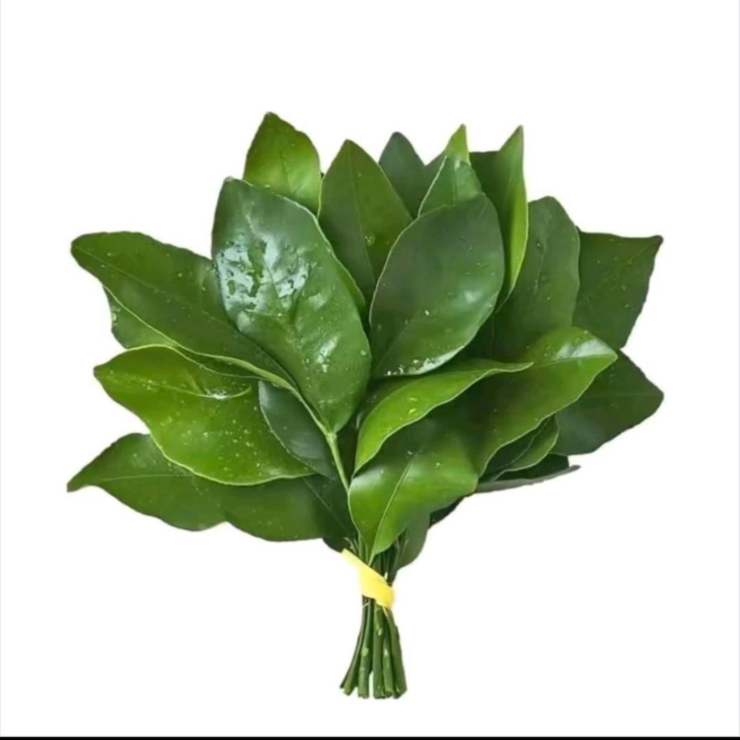 泥嚎