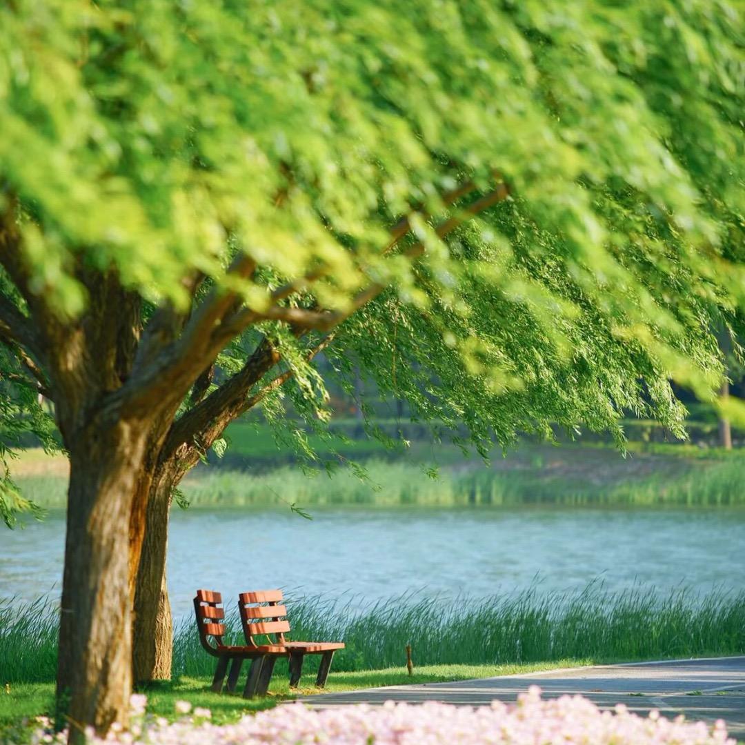 万水千山