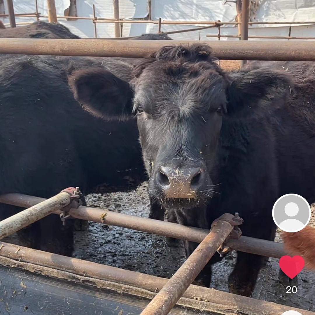 天津蓟州区生态农庄