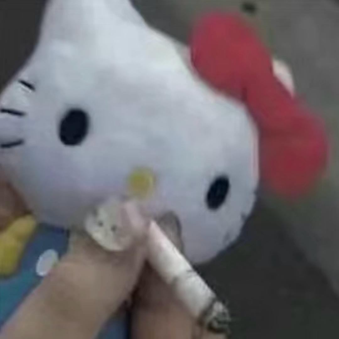 对这个地球无语了