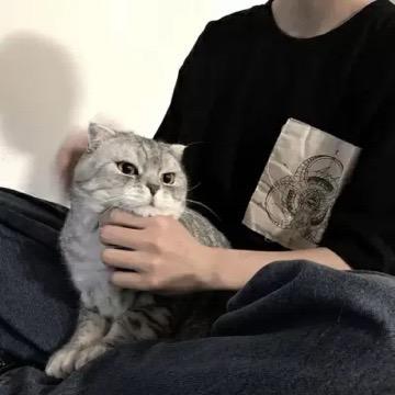 痛呼哉