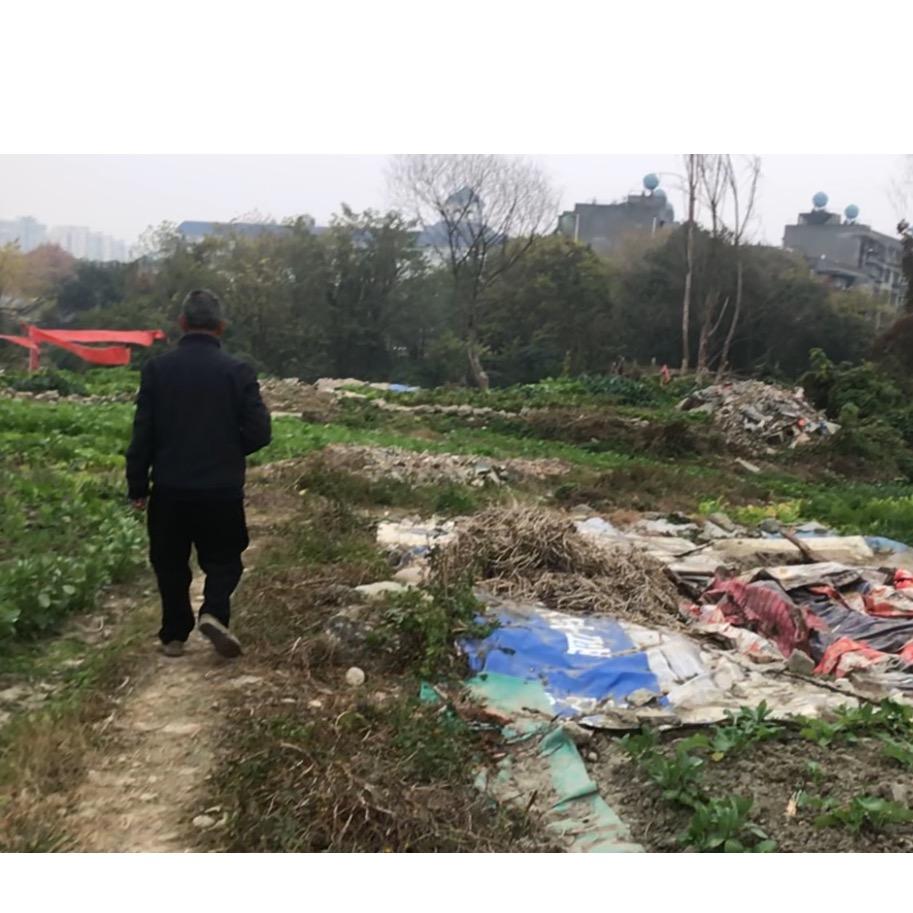 76岁开荒种菜大爷