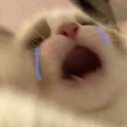 大西瓜（三角洲行动）