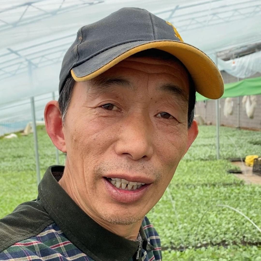 东哥苗业