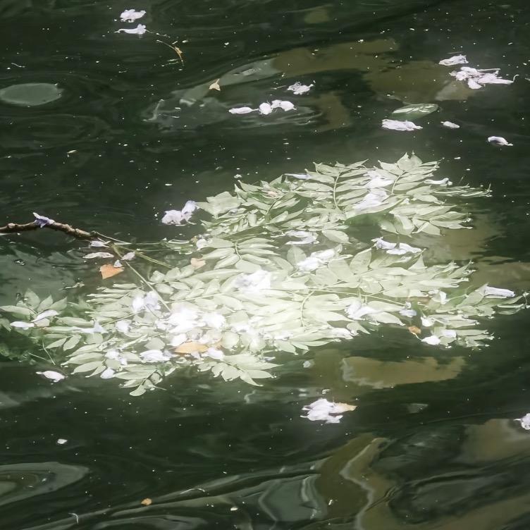 梧栀屿