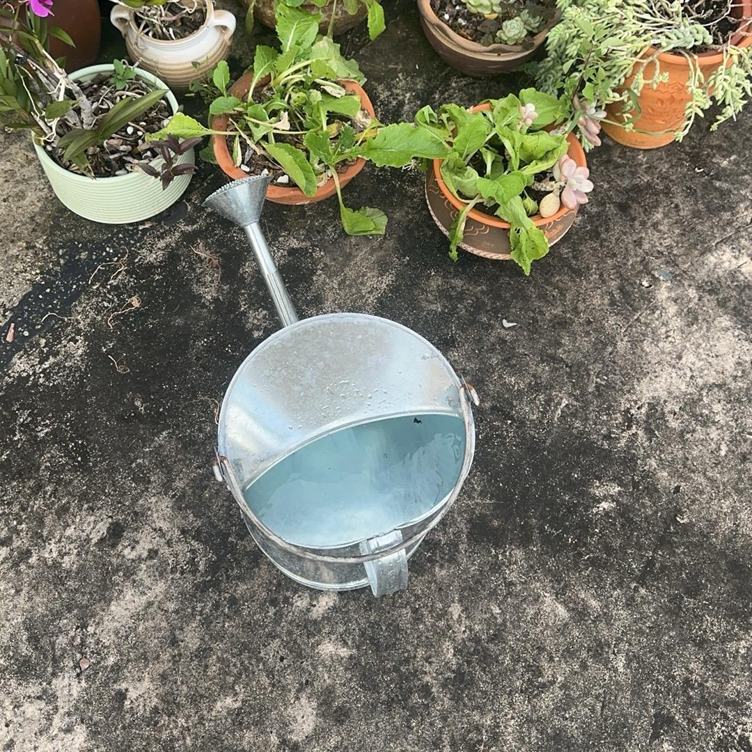 还你自由，归还与人海！