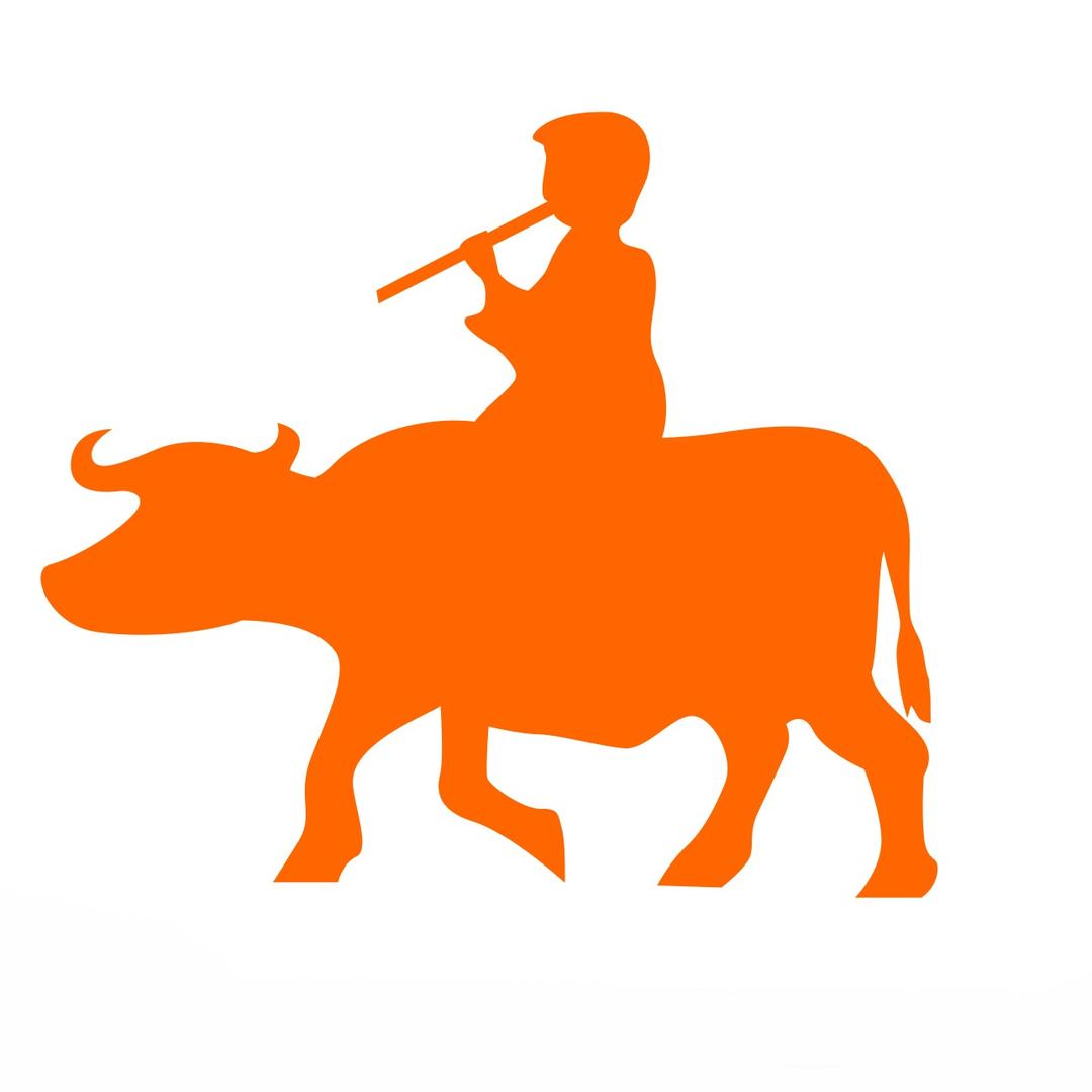 布衣小童7号上午9点家纺专场直播@抖音