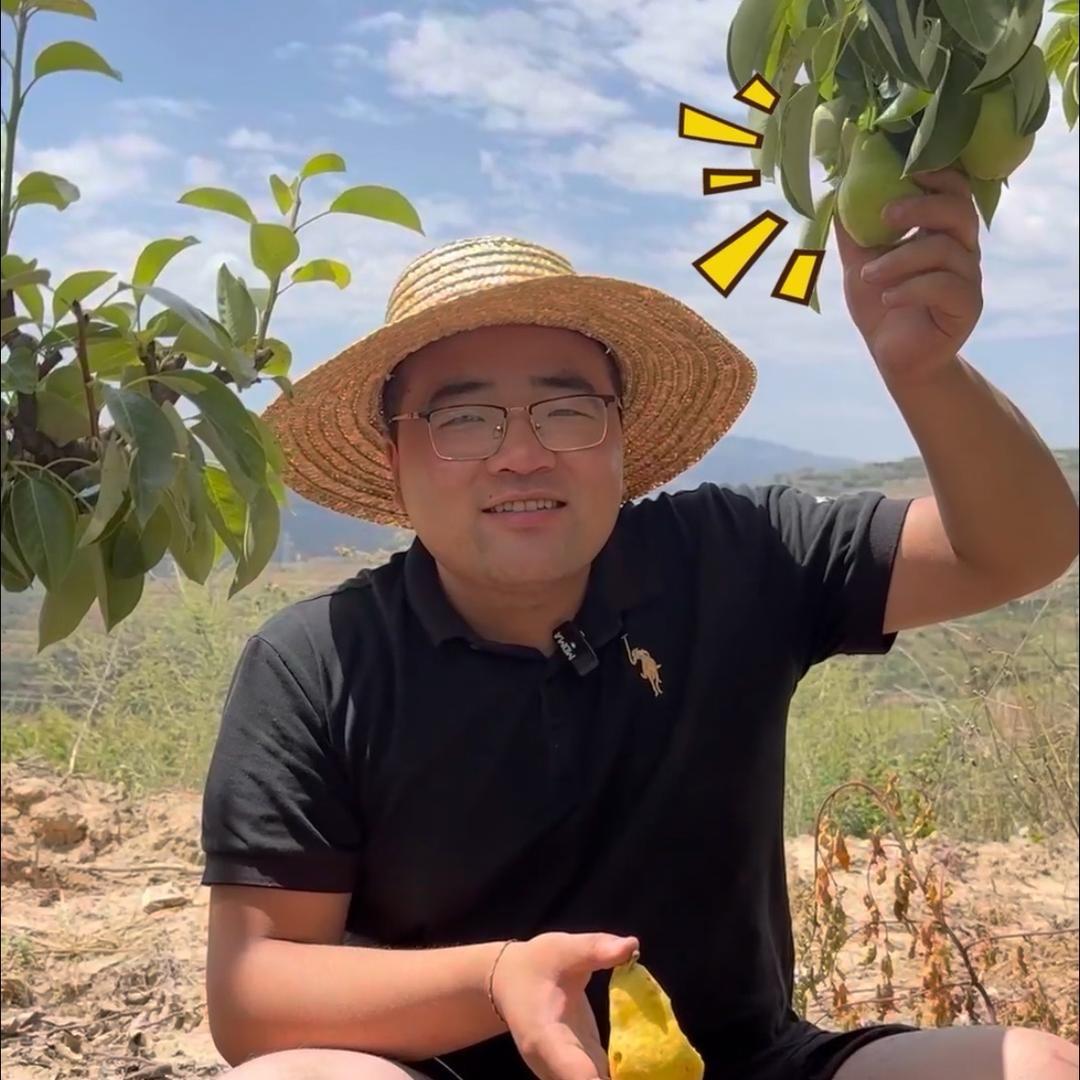 大锤鲜生～甘肃香蕉梨