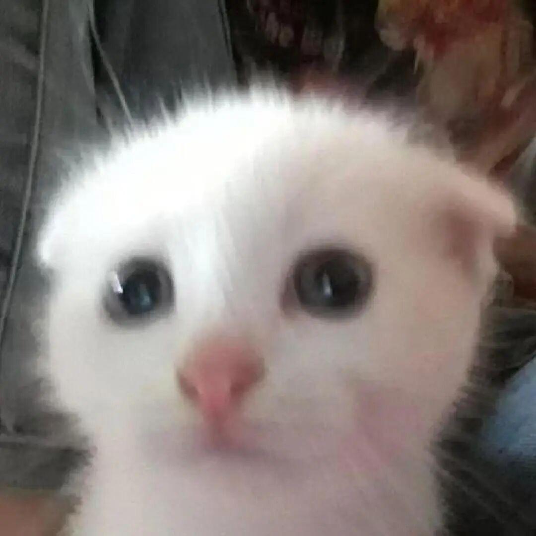 你消失以后我应该去哪里找你