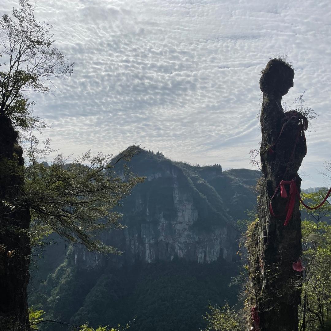 陪你一起旅行《逗哥》