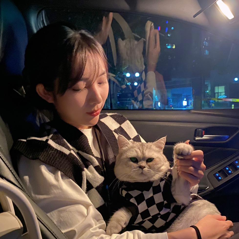 柴圆滚滚♈️