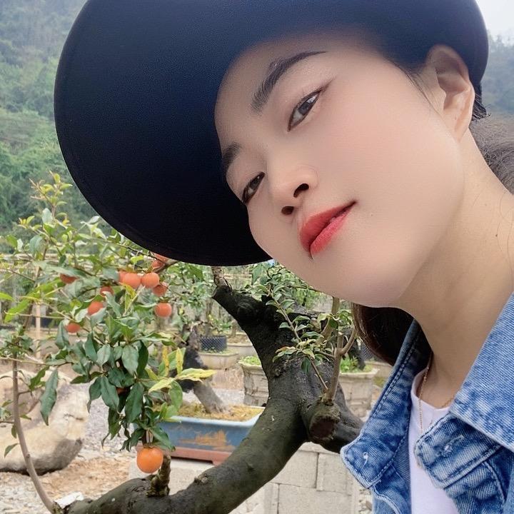 小丫盆景园
