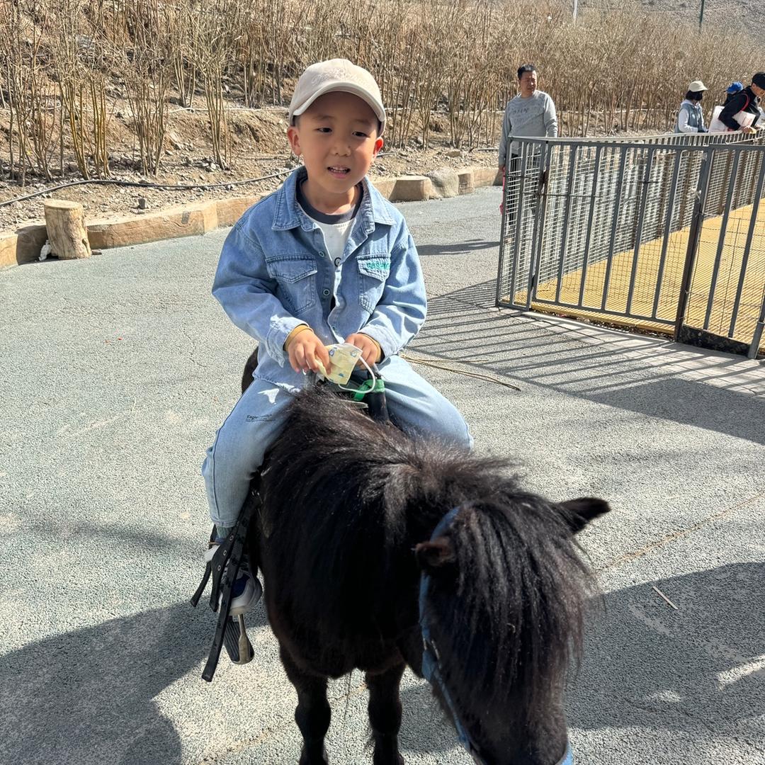 少林寺扫地僧