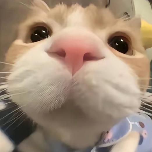 我乐了
