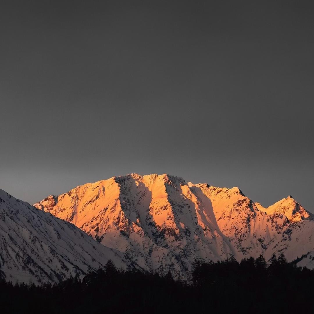 诚信新人（互关互赞）