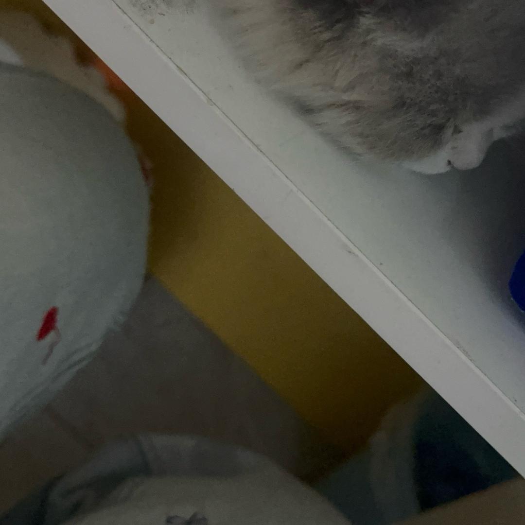 以后再也不信任何人