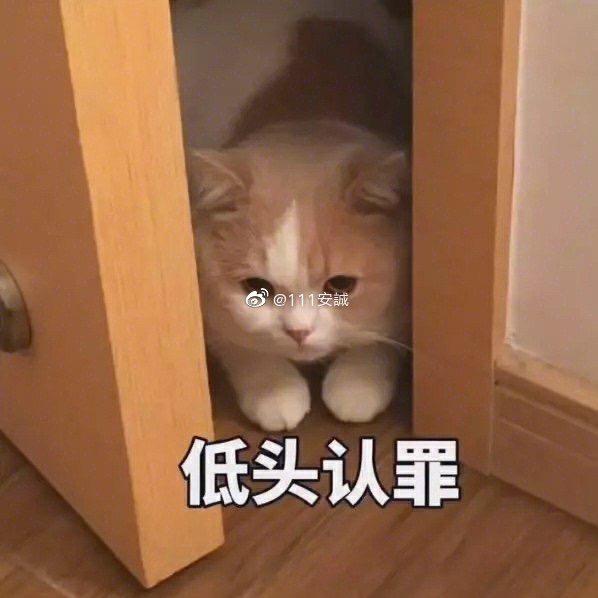 ID太长怎么办