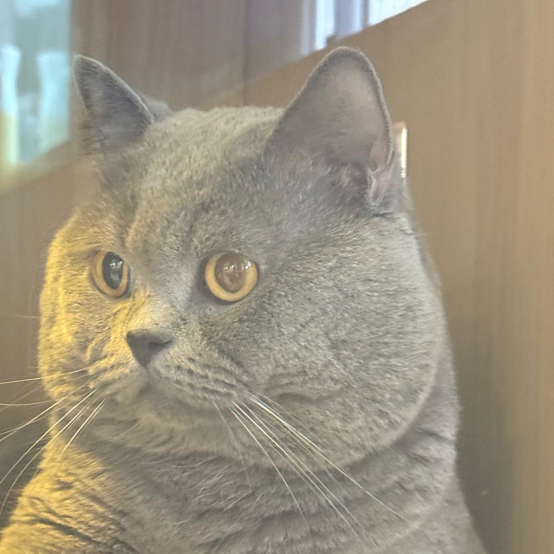 烟花🎆 🌙ིྀ