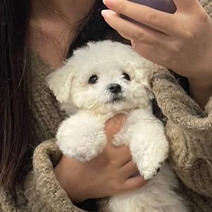 别等太晚啦
