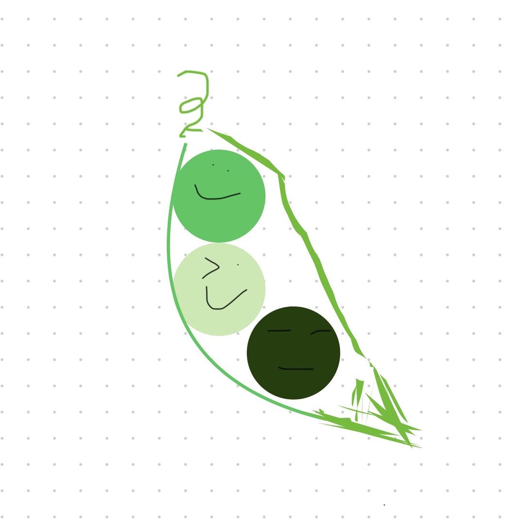 小毛豆豆