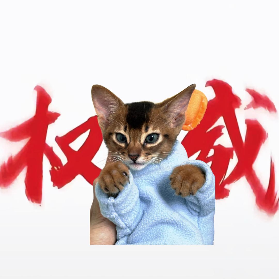 补药蛙