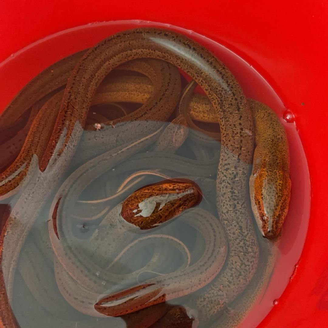 玩户外的那小伙