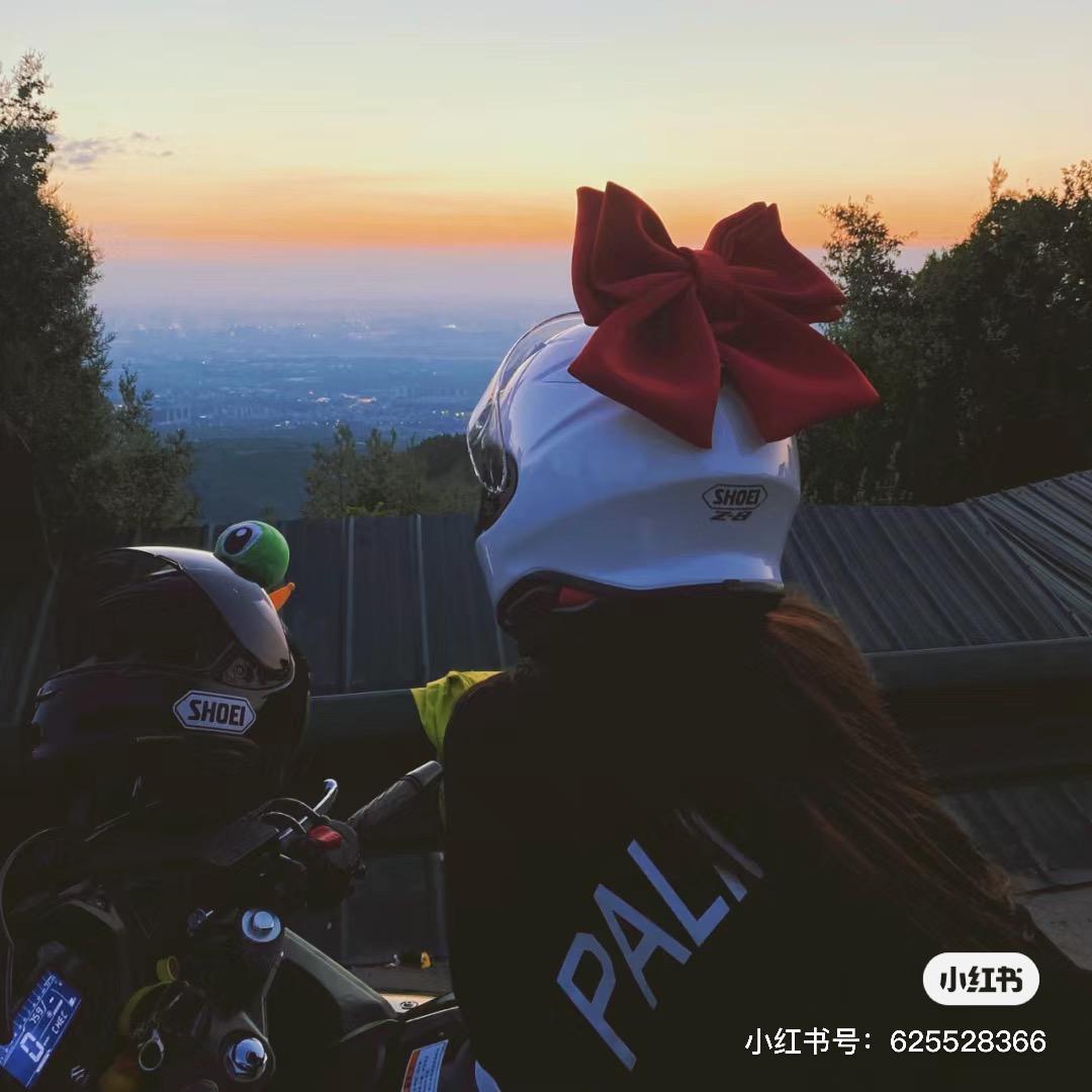 努力的迪宝