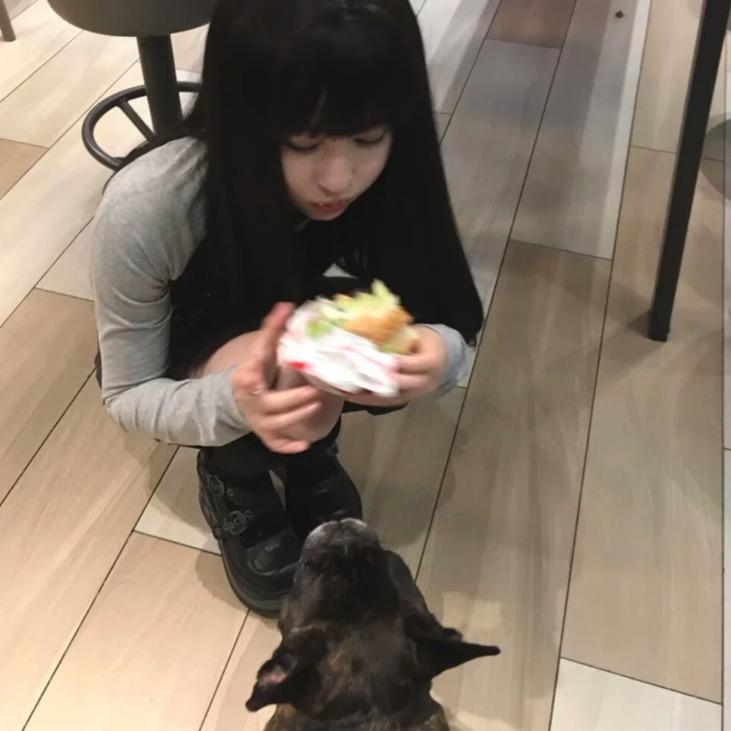 抑郁小猫