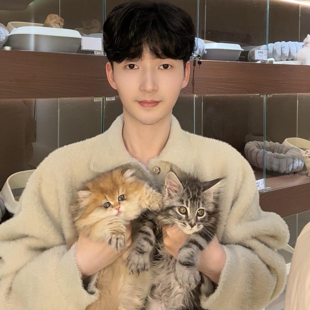 仅甜  熊版猫舍