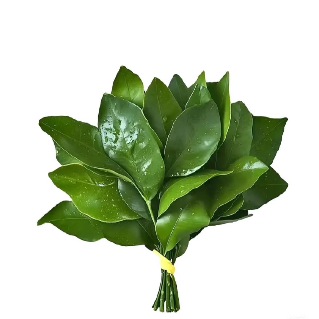 瓜娃灰灰