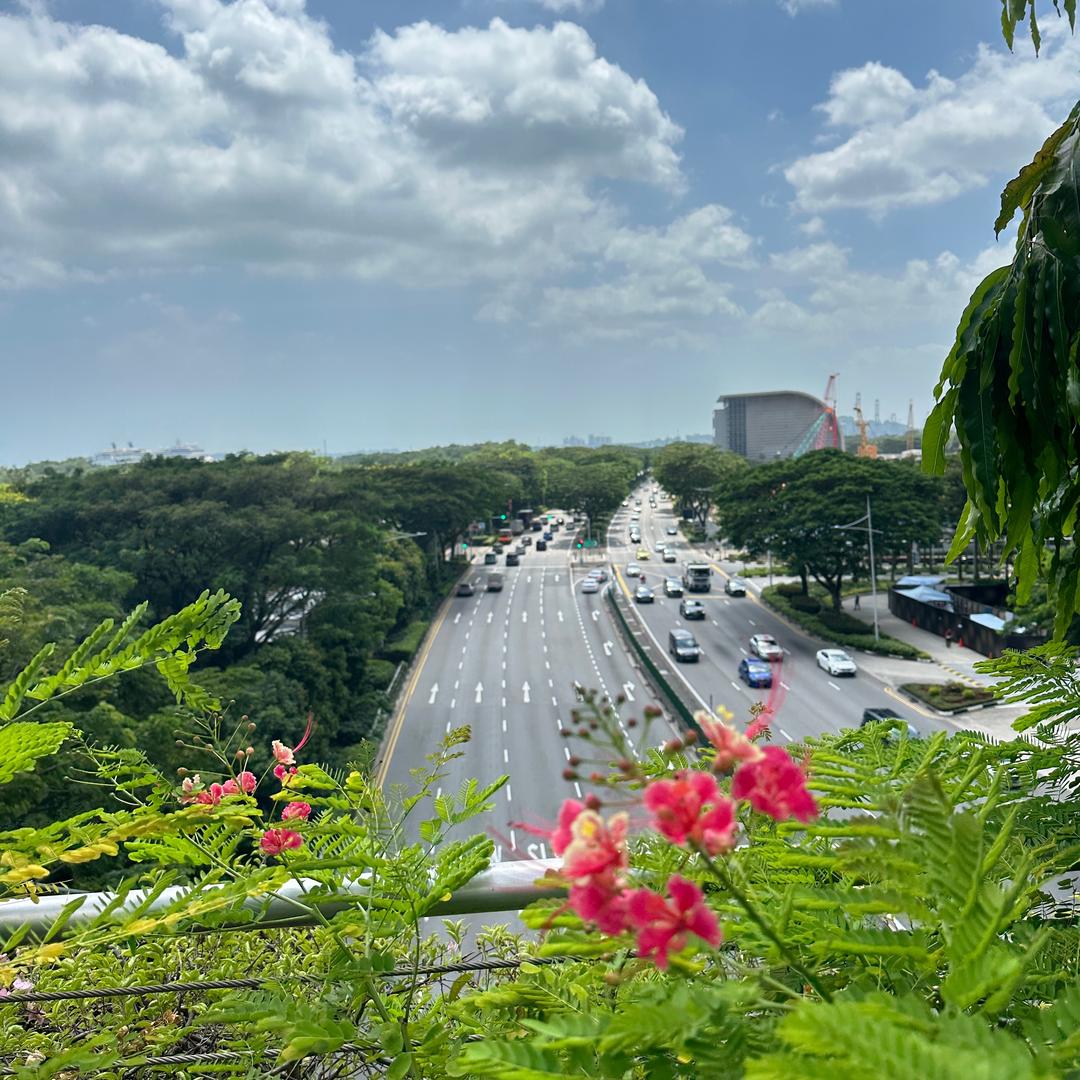 王乙涵_辽宁企达劳务服务公司🍷