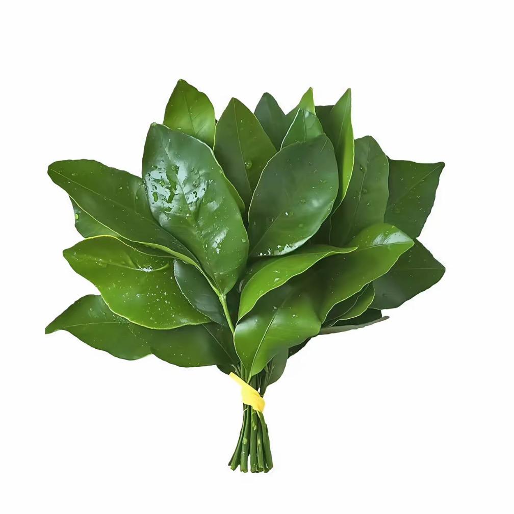 宁德利