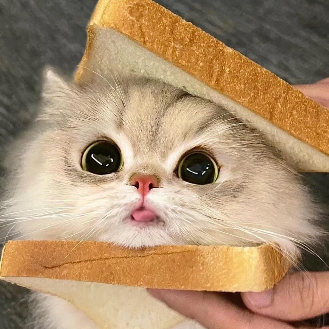阿米饰品铺