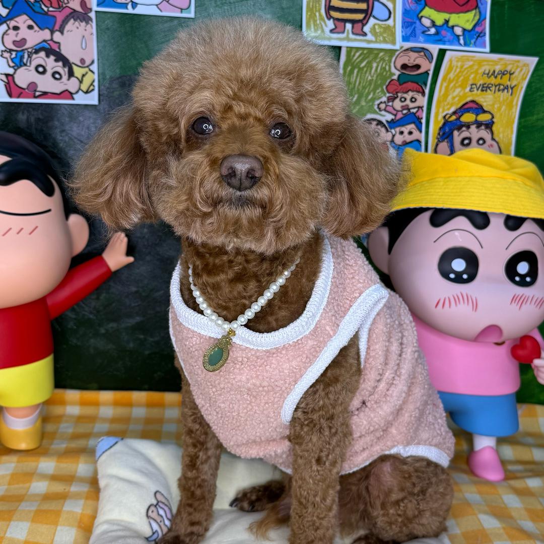 转生成为铲屎官大人的那一天