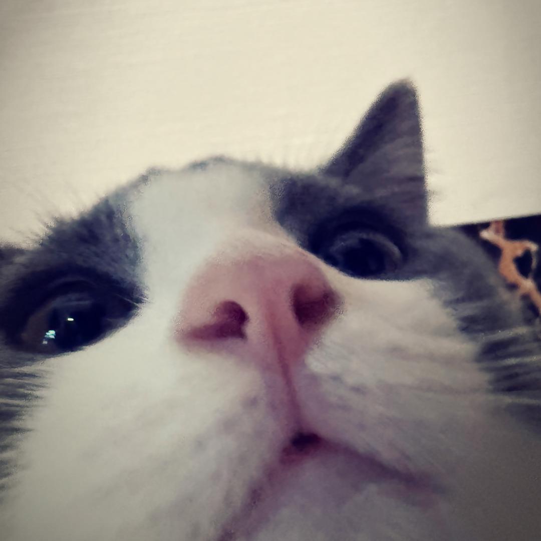im_