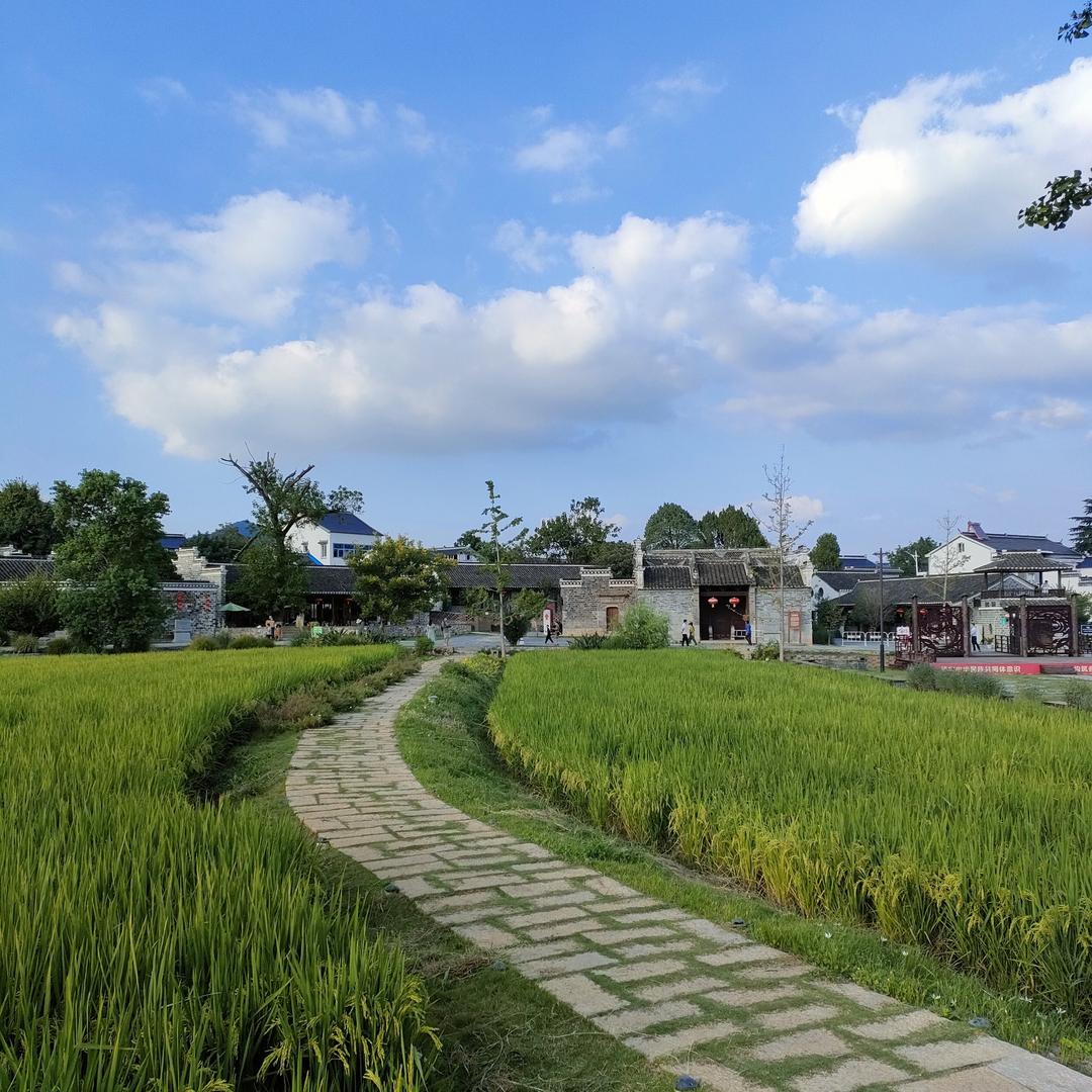 阿志山货，折兰芳