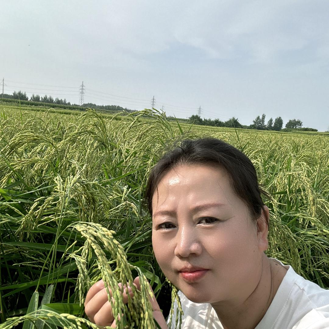 浓郁稻香